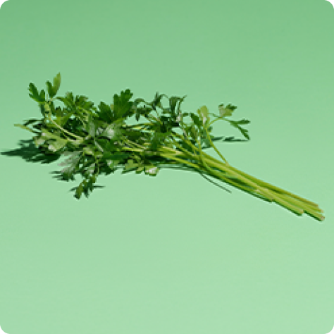 Medpaid
