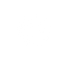 Brain Support icon