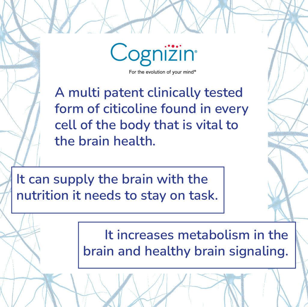 Sharp slides_#2 Cognizin