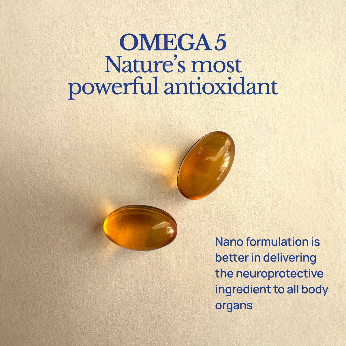 omega 5 antioxidant neuroprotection pomegranate oil