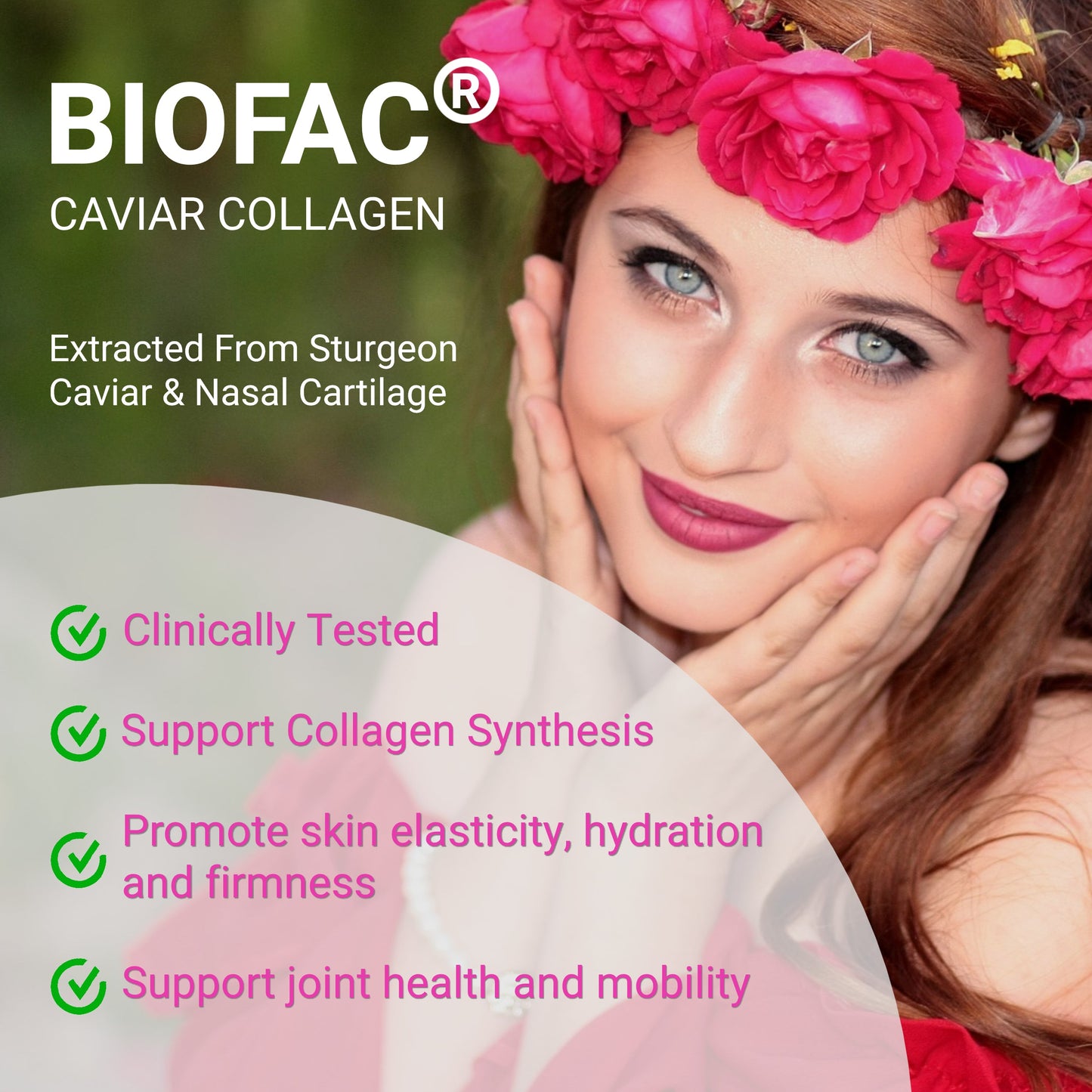 Women's Pre Probiotics Collagen