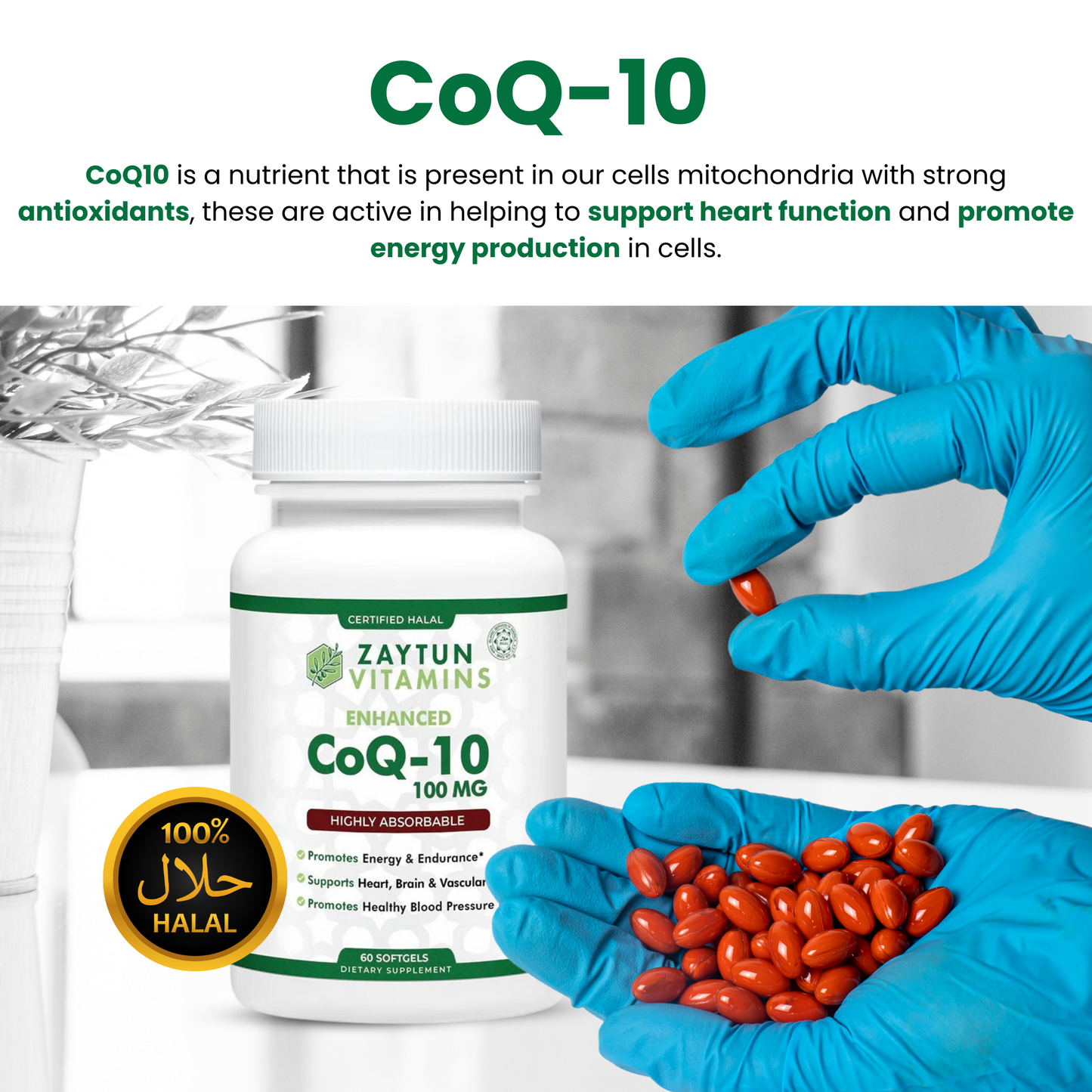 Halal CoQ 10 + Vitamin E Softgels