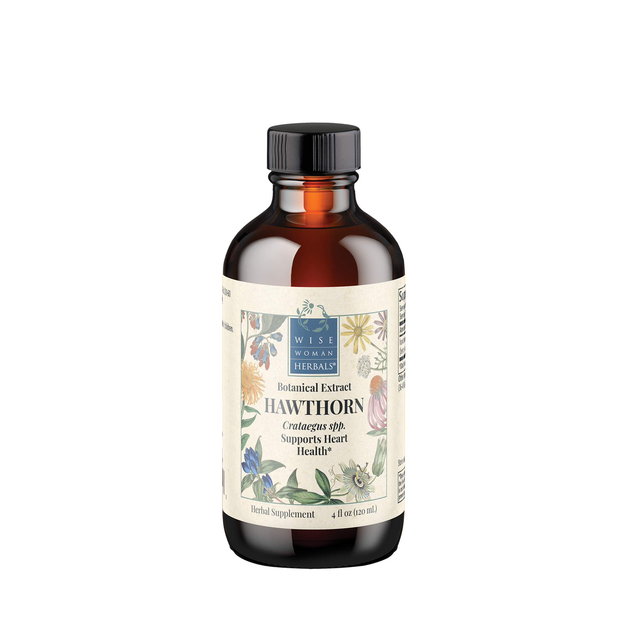 Hawthorn (Crataegus spp.)