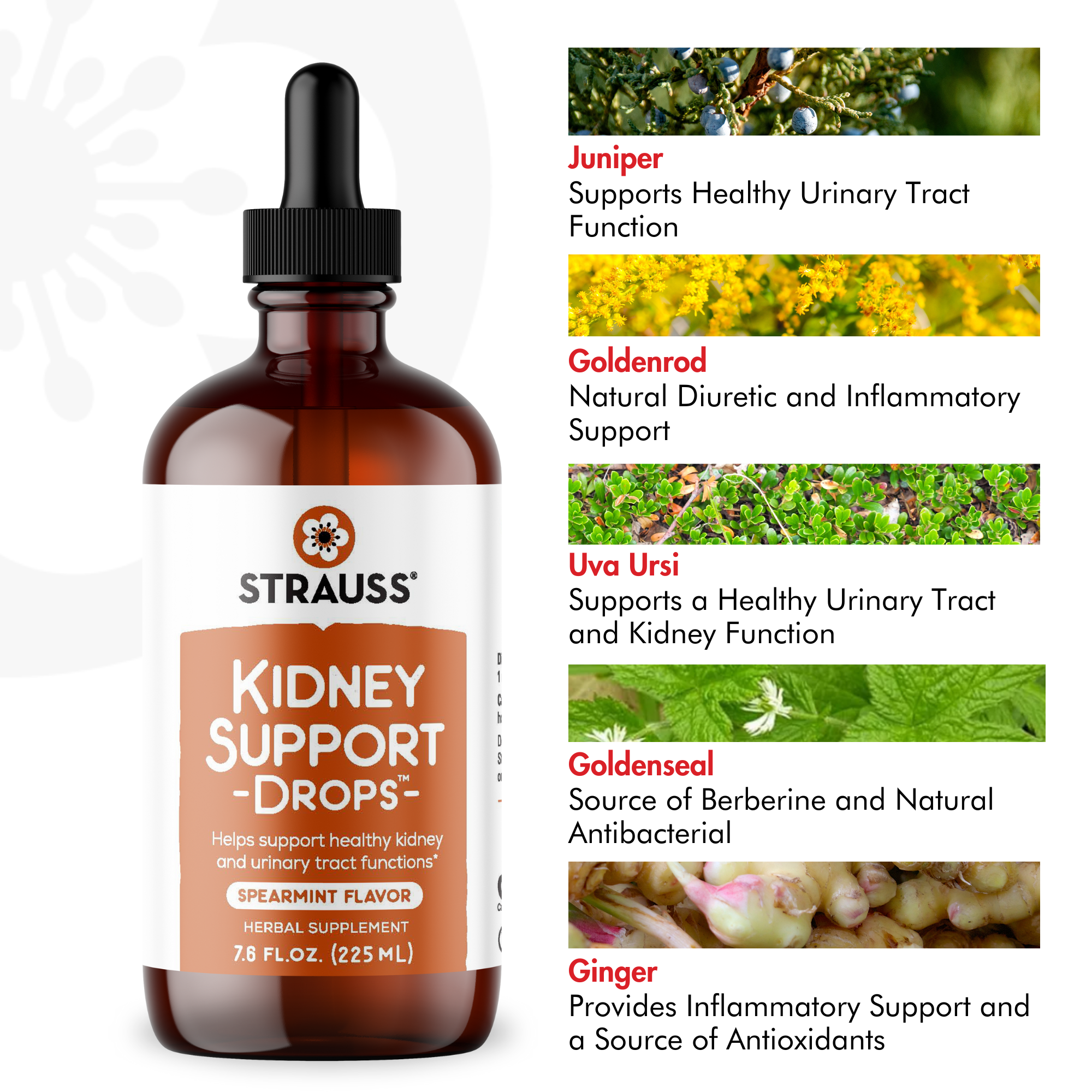 Kidney Support Drops™