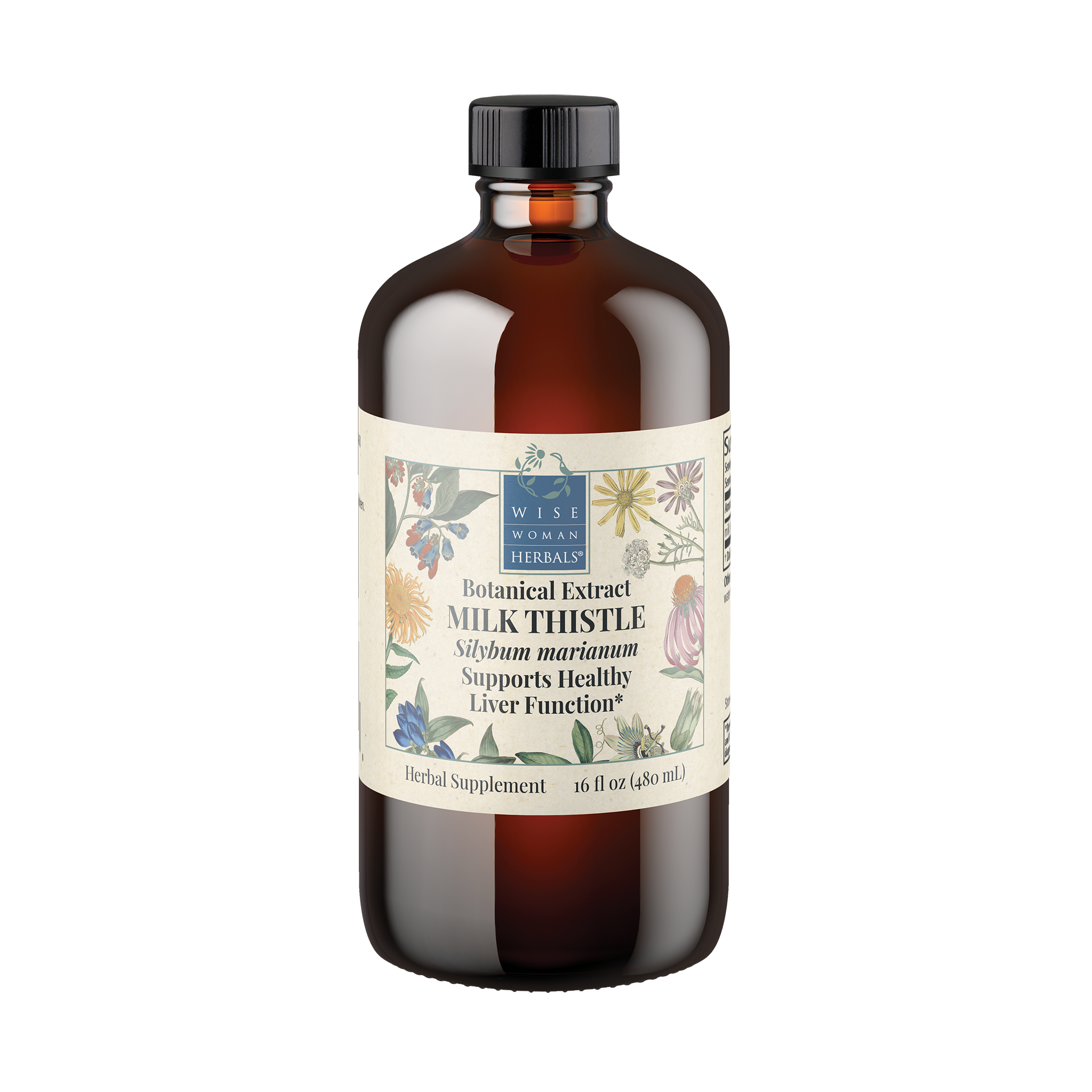 Milk Thistle (Silybum marianum)