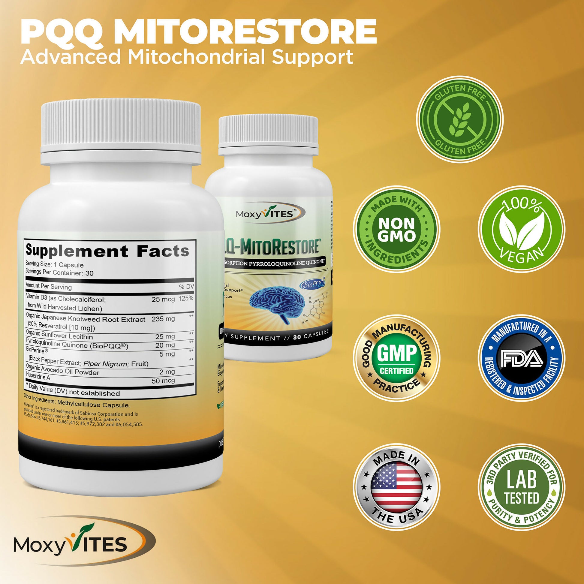 Infographic showing benefits of PQQ GMP certified