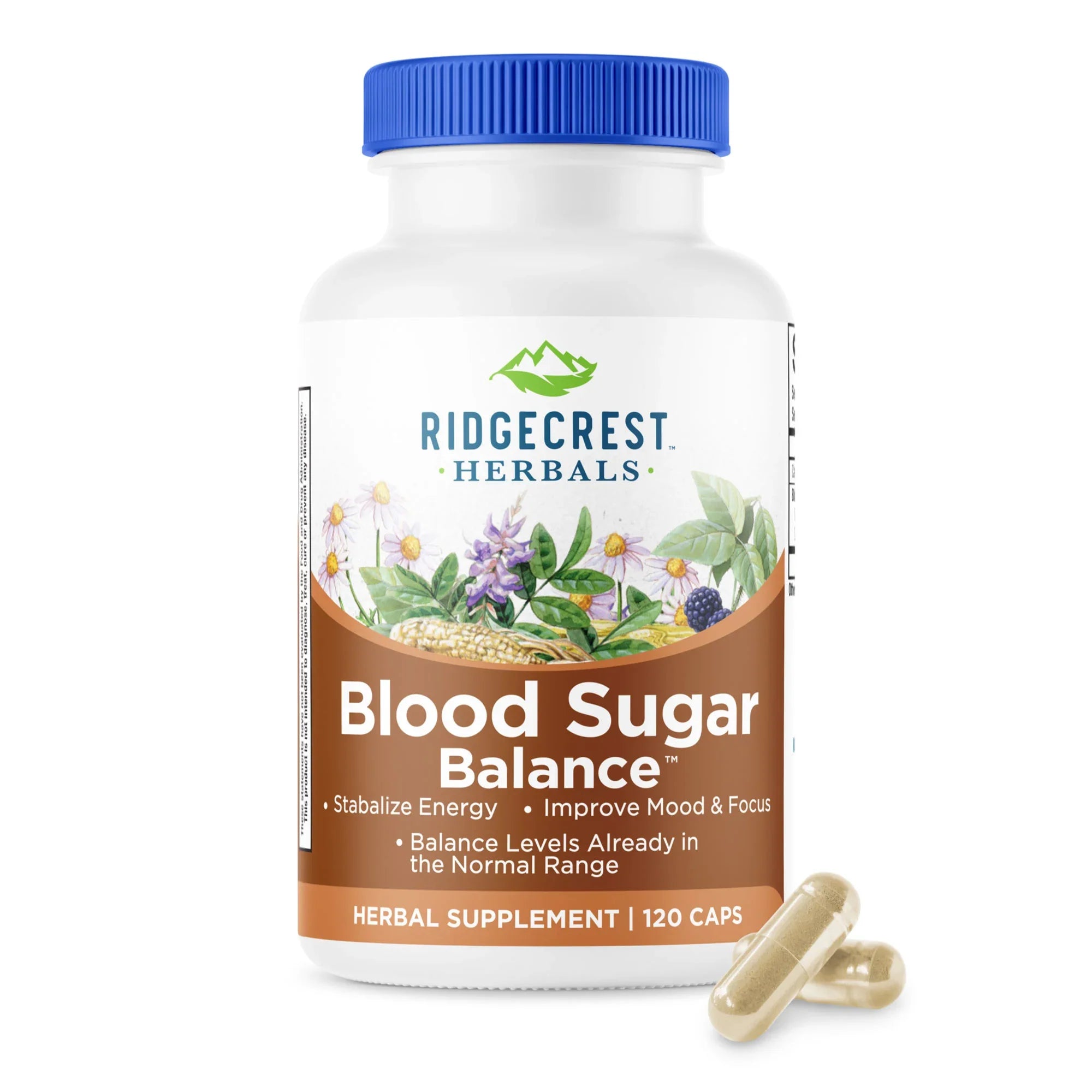 Blood Sugar Balance supplement bottle on a white background, with two capsules in front