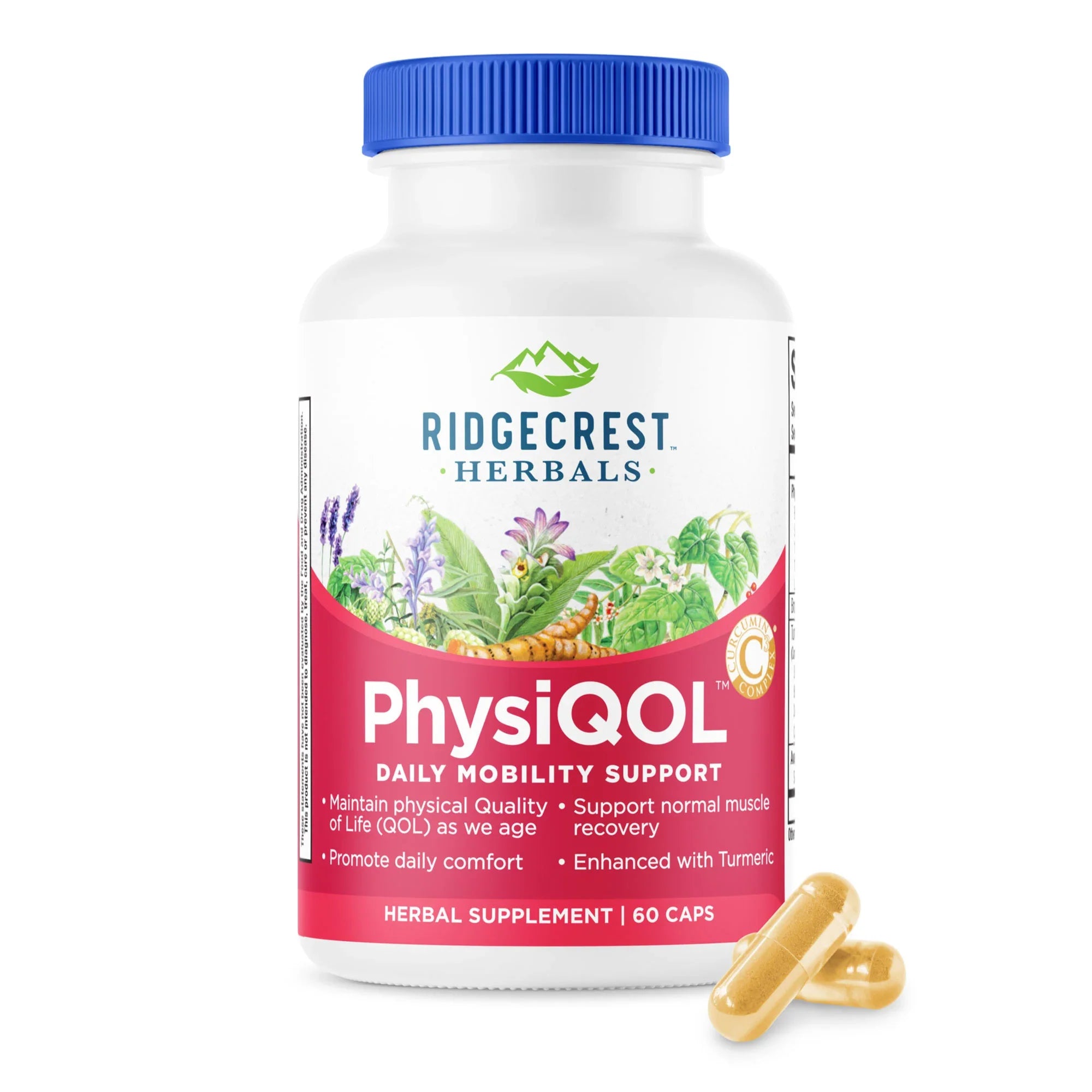 PhysiQOL supplement bottle on a white background, with two capsules in front