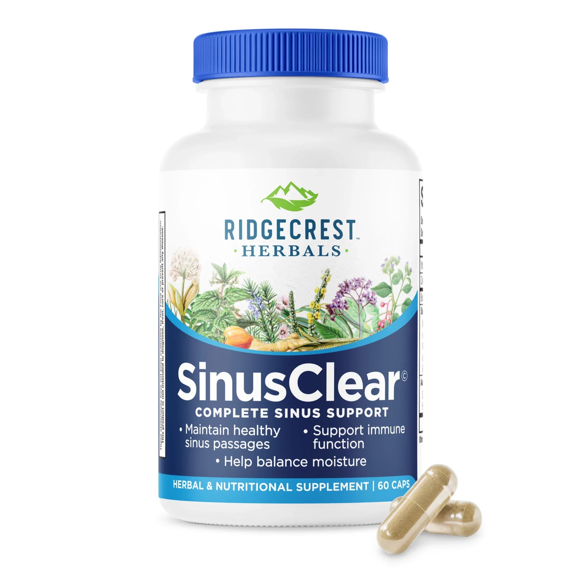 Sinus Clear supplement bottle on a white background, with two capsules in front