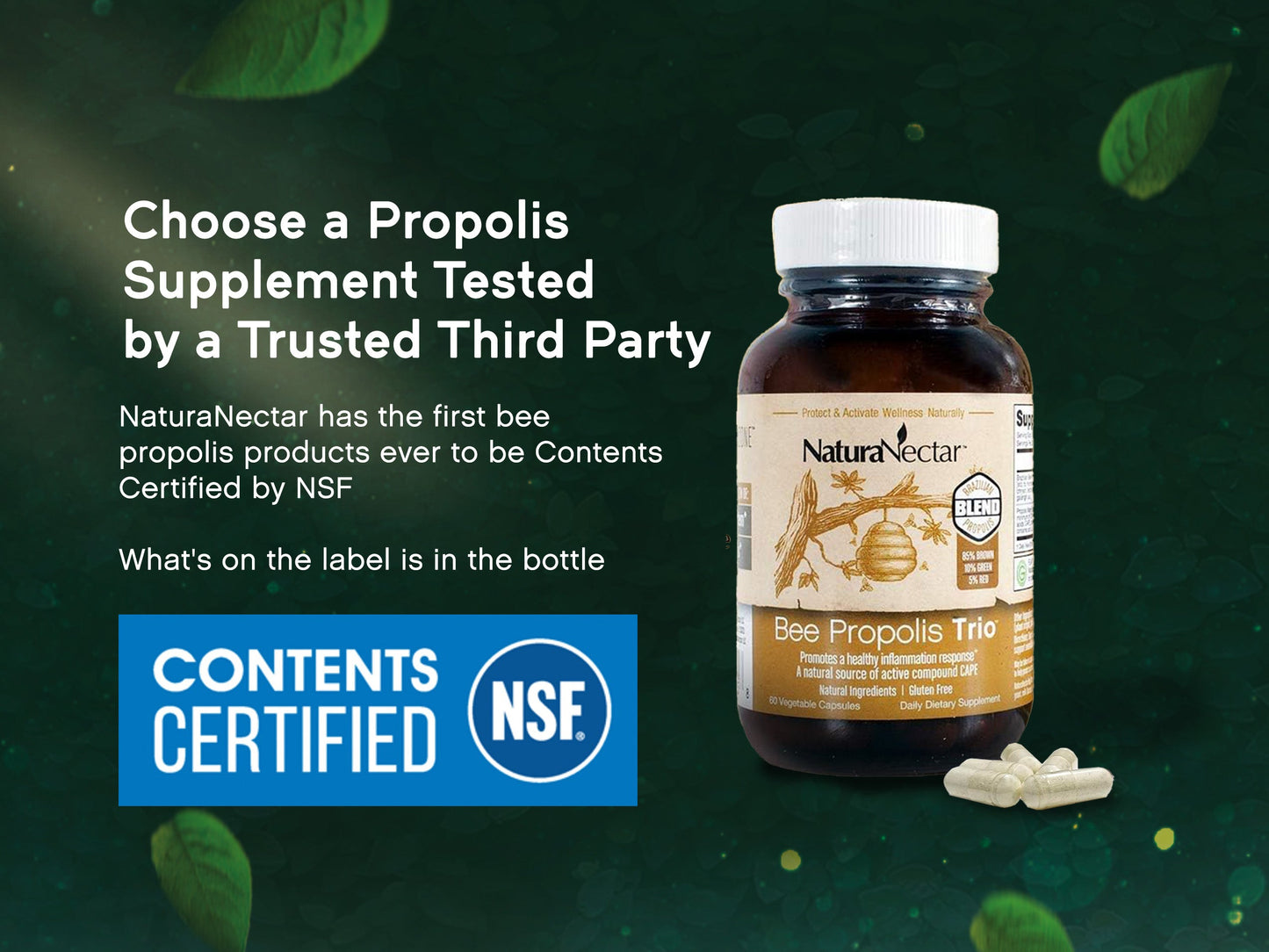 Bee Propolis Trio, NSF Contents Certified, 60 Capusles